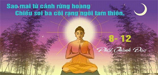 Ngày ý nghĩa của Phật giáo: Ngày đức Phật thành Đạo (8/12 âm lịch)