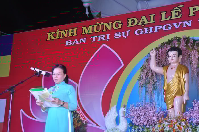 vn8