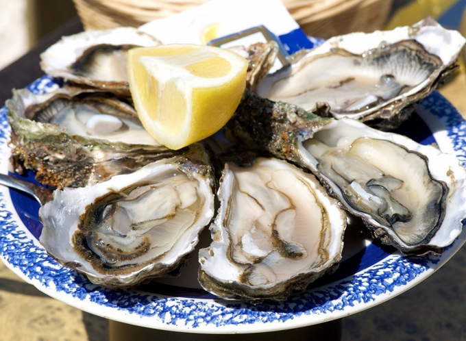 atlantic_oysters