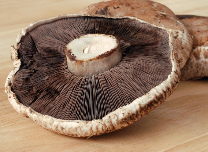 mushroom_cap