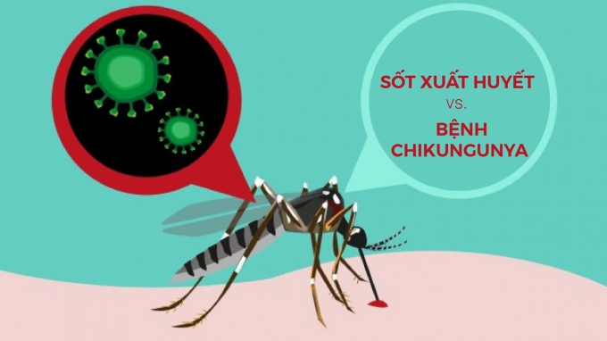 sot-xuat-huyet-va-benh-Chikungunya-01