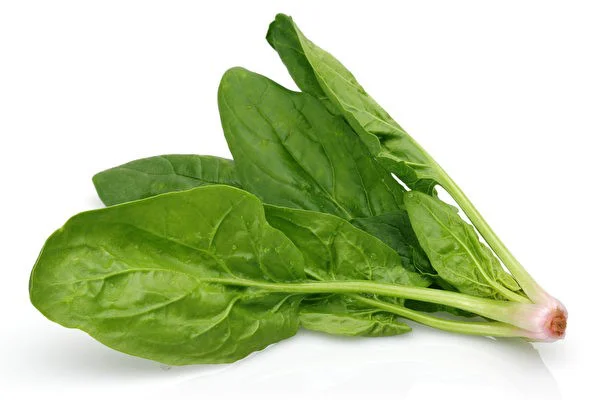 rau-spinach-hay-goi-la-rau-bina