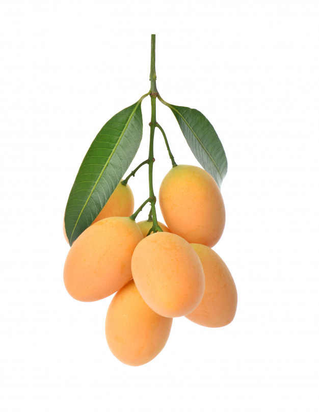 close-up-sweet-marian-plum-thai-fruit-mayongchid-isolated-white-background_62678-71