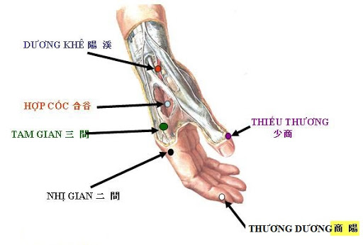 huyet-thieu-thuong-ycotruyen