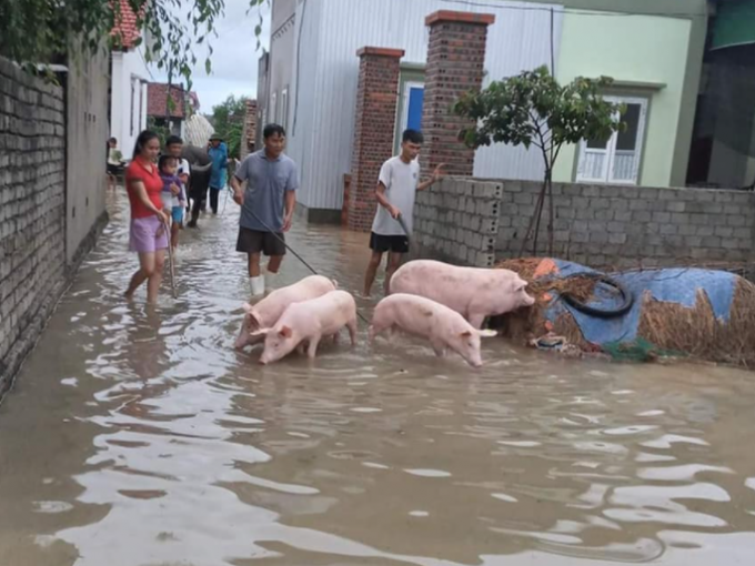 mua lu o Nghe An.