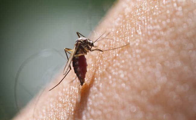 Đẩy mạnh các hoạt động phòng chống sốt xuất huyết, tiếp tục triển khai chiến dịch diệt muỗi, diệt lăng quăng (bọ gậy) trên địa bàn nguy cơ cao...