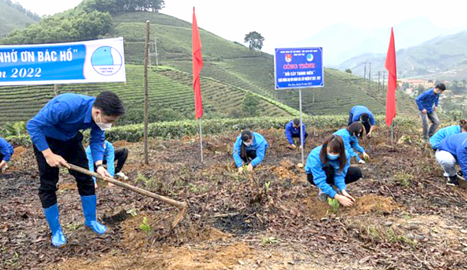 Bí thư Tỉnh đoàn Bùi Đức Giang tham gia trồng cây xây dựng công trình 