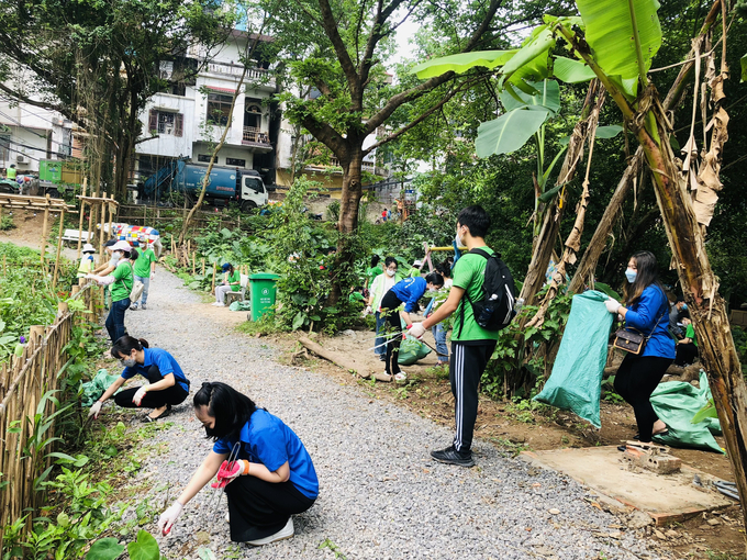 Thanh niên tình nguyện không quản ngại thu dọn rác thải
