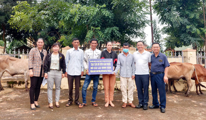 Hội đồng hương xã Nam Yang tại TP. Hồ Chí Minh đã trao 3 con bò lai sinh sản cho 3 hộ nghèo trên địa bàn. Ảnh: BGL