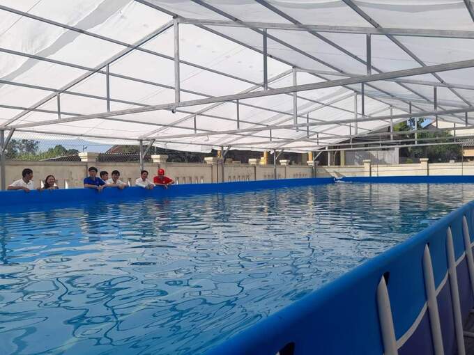 Bể bơi được xây dựng tại huyện Lệ Thủy. Ảnh: BQB