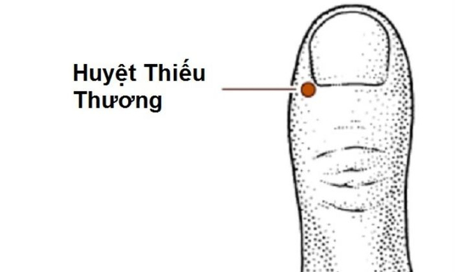 huyet-thieu-thuong-3