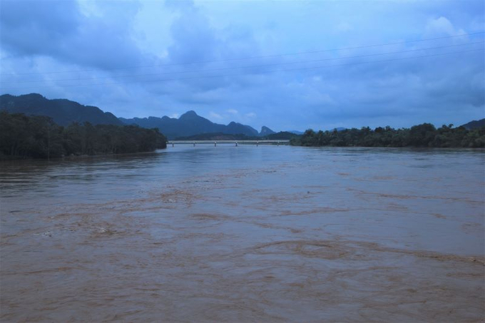 Mưa lớn kéo dài khiến mực nước sông Mã đoạn qua huyện Cẩm Thủy đang lên nhanh. Ảnh: BTH