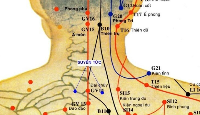 huyet-dinh-suyen-3