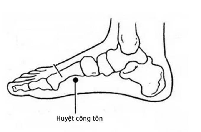 huyet-cong-ton-123