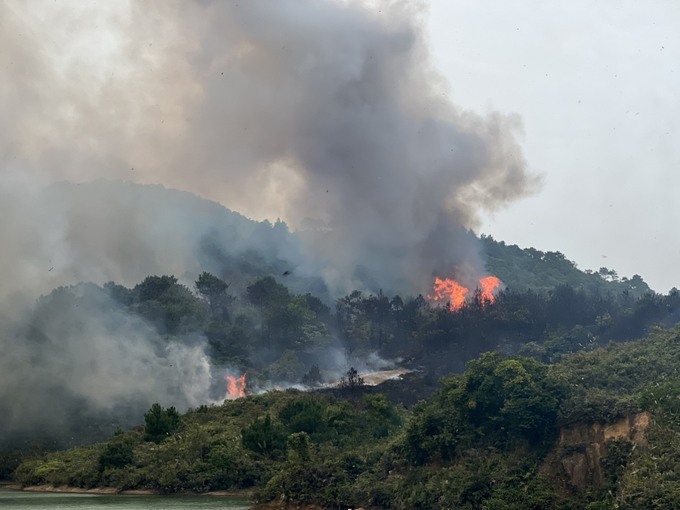 Cháy lớn gây thiệt hại 6ha rừng tại TP Móng Cái, tỉnh Quảng Ninh. Ảnh: LĐO