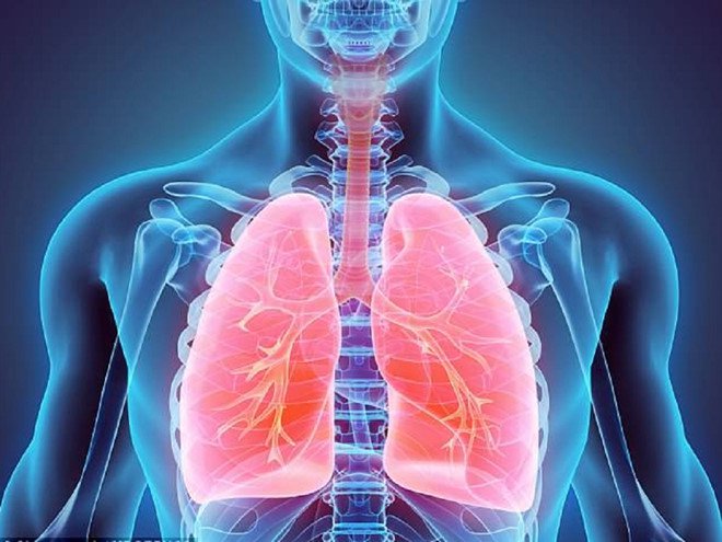 Những dấu hiệu cảnh báo sớm các bệnh về phổi mà bạn không nên bỏ qua. Ảnh minh họa