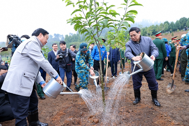 Thủ tướng Phạm Minh Chính phát động Tết trồng cây 