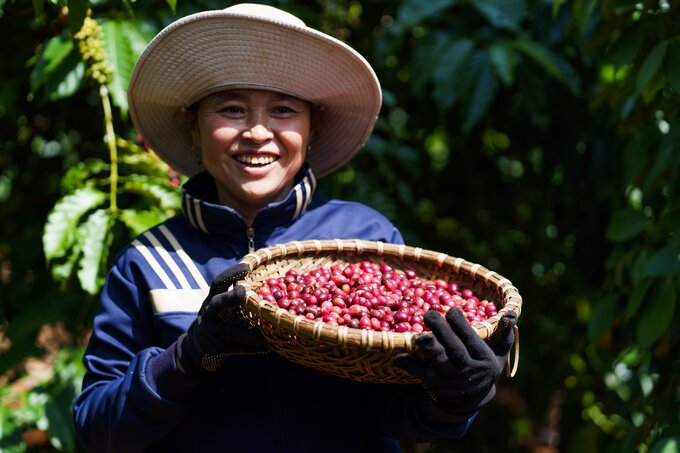 Chương trình NESCAFÉ Plan góp phần cải thiện kinh tế cho nhiều nông hộ canh tác cây cà phê và nâng cao vai trò và vị thế của người phụ nữ