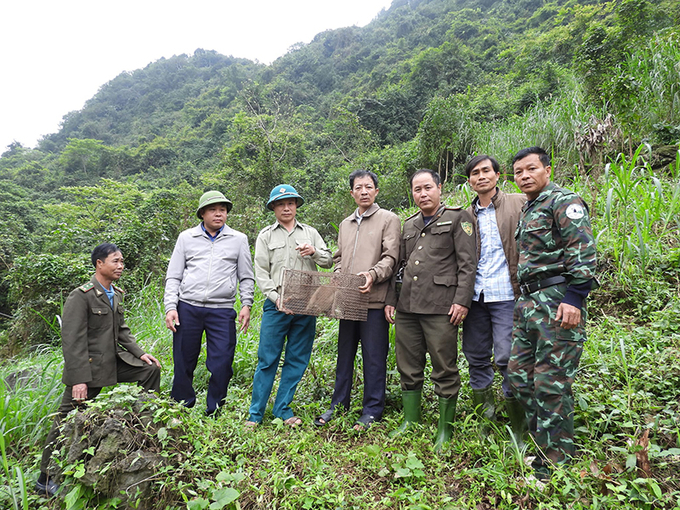 Tổ tự nguyện bảo vệ Voọc gáy trắng và lực lượng  chức năng thả cá thể khỉ nước về môi trường tự nhiên. Ảnh: BQB