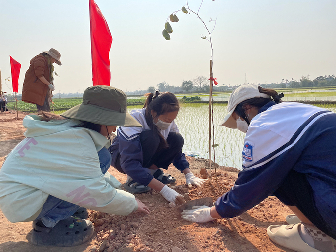 Các em học sinh đang chăm chút cây xanh do mình trồng