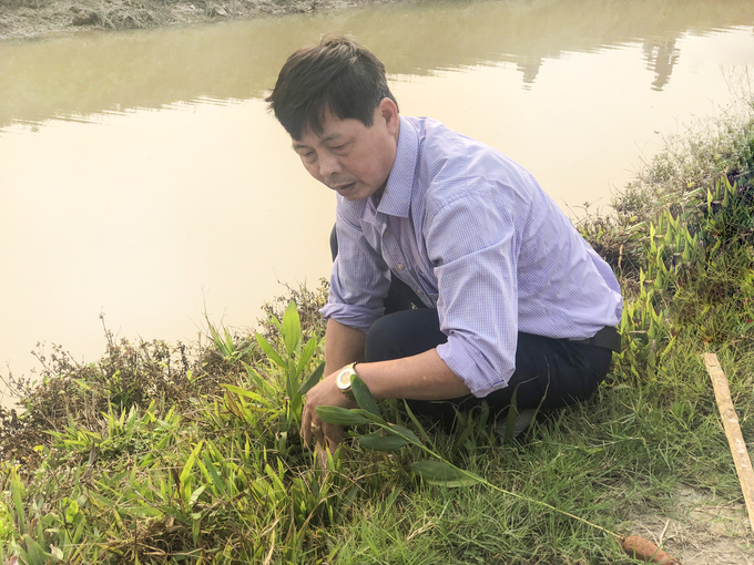 Ông Phạm Văn Công - Chủ tịch MTTQ xã Thúc Kháng trồng cây phát động chương trình