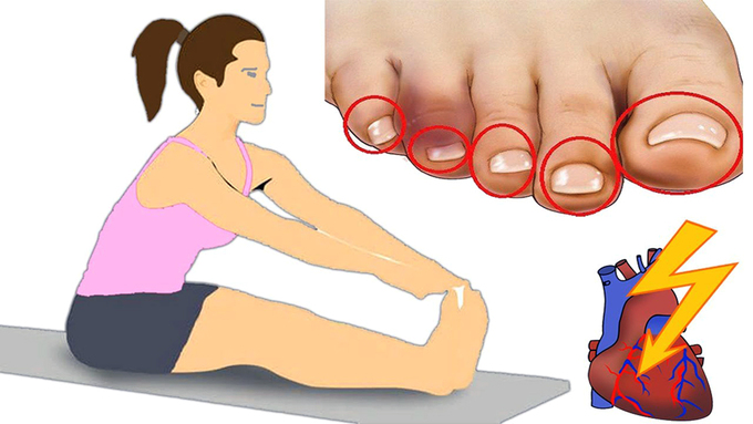Gập người chạm tay vào đầu ngón chân có thể giúp nhận biết nguy cơ bệnh tim. Ảnh: Youtube.com