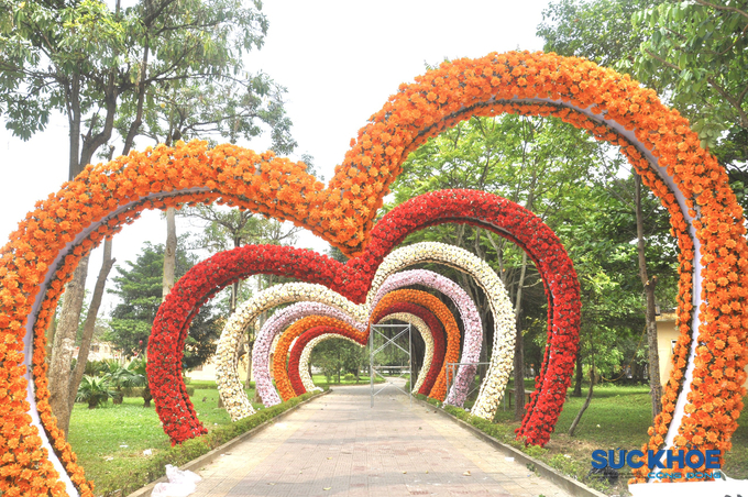 Con đường hoa do Hội doanh nhân trẻ Thanh Hóa thực hiện, tài trợ kinh phí
