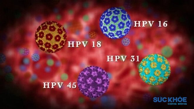 HPV_n