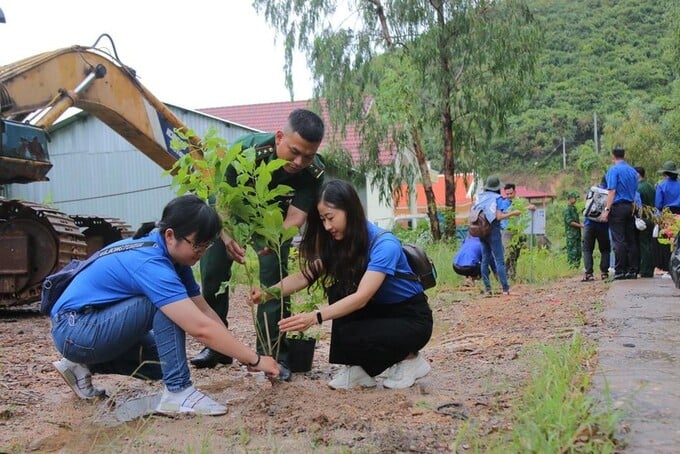 Đoàn viên, thanh niên Trường ĐH Kiên Giang và bộ đội biên phòng trồng cây xanh trên đảo Nam Du (nguồn ảnh giaoducthoidai.vn)