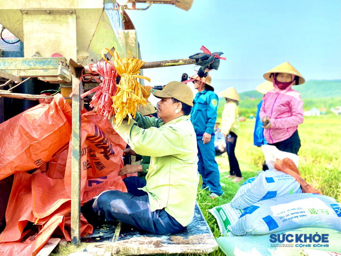 Sau khi cắt lúa, những nhân công theo máy sẽ đóng bao, vận chuyển vào bờ cho chủ ruộng. Công việc đóng bao rất vất vả, nên chỉ dành cho những người đàn ông trai tráng, có sức khỏe tốt.