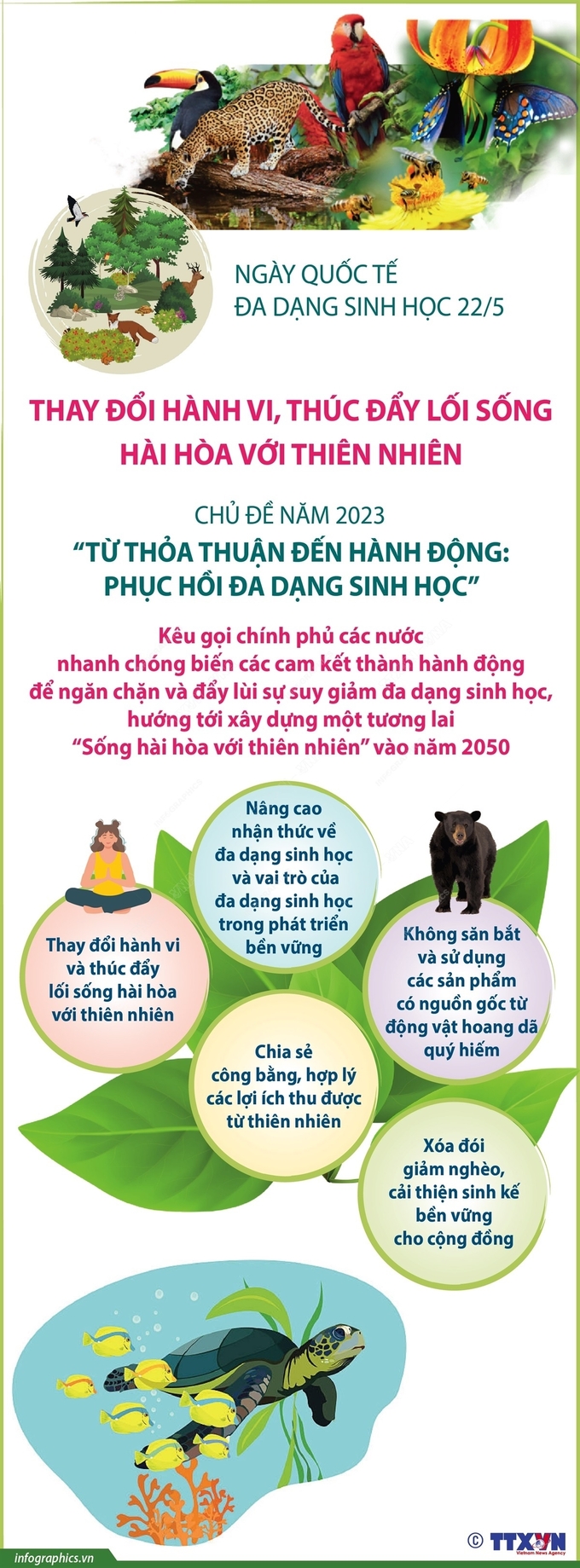 dadangsinhhoc