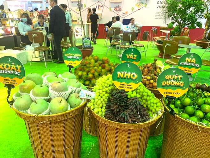 Nho Ninh Sơn được trưng bày tại sự kiện Hội chợ xuất khẩu TP. HCM