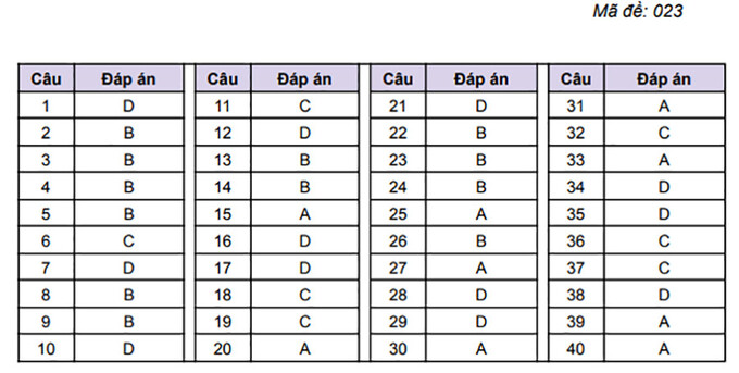 giaicuoi1-734