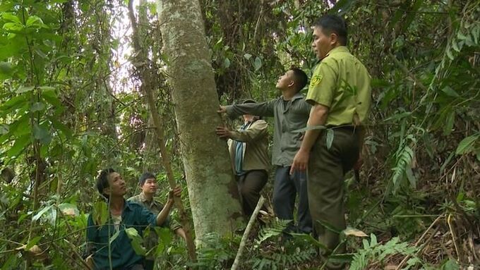 Buổi tuần rừng, kiểm tra rừng do lực lượng kiểm lâm phối hợp với tổ PCCC rừng thôn Nà Coóc, xã Bộc Bố tổ chức. Ảnh: Báo Bắc Kạn