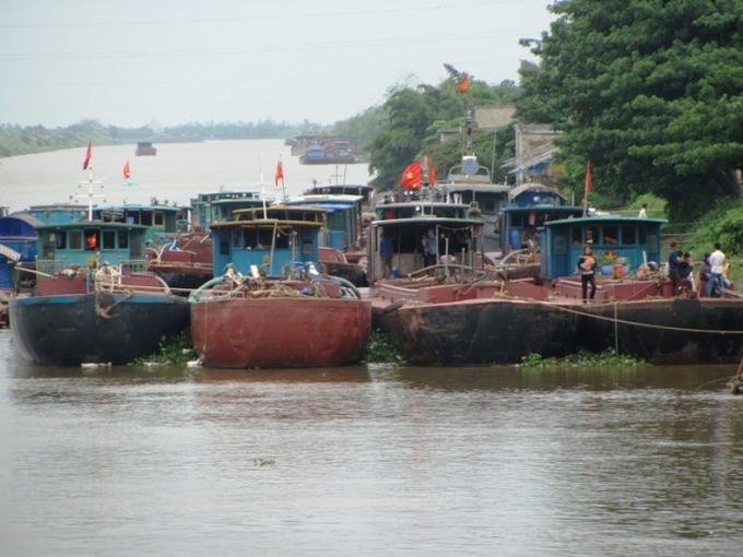 Ảnh minh họa: LĐO