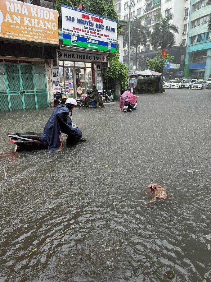 nguyenduccanh