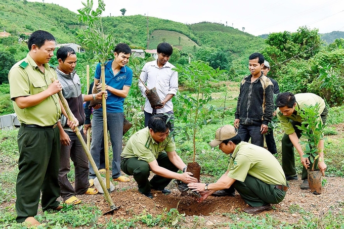 Ảnh: Báo Gia Lai