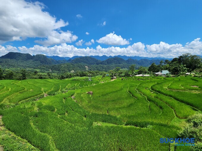 Nhìn từ xa có thể thấy những mái nhà sàn, ruộng lúa trải rộng tít tắp cùng những dãy núi nhấp nhô bao lấy bản làng bên dưới.
