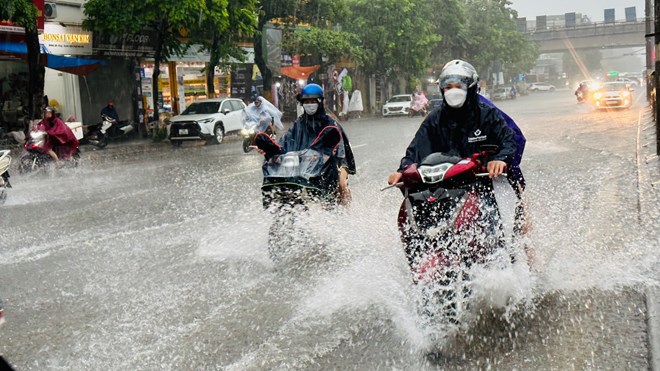 Ảnh minh họa: LĐO