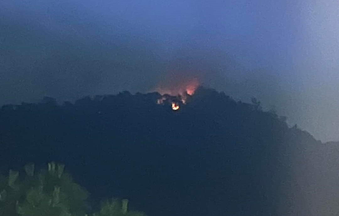 Cháy rừng tại huyện Sóc Sơn. Ảnh: Hà Nội mới