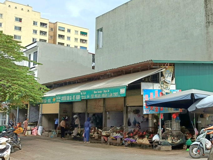 Điểm giết mổ gia cầm trái phép tại khu dân cư mặt bằng 2155, phường Đông Vệ, thành phố Thanh Hóa