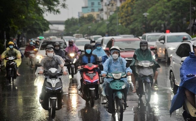 Ảnh minh họa: LĐO