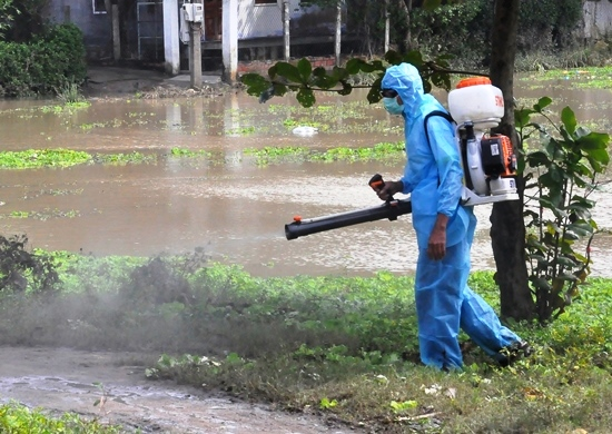 Ảnh minh họa: UBND tỉnh Bình Định