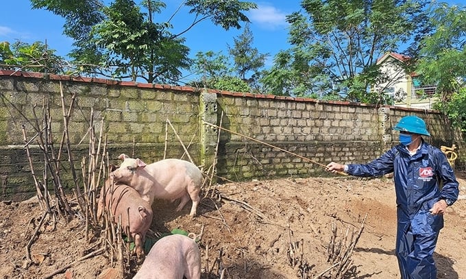 Phun hóa chất tiêu độc khử trùng khu vực chăn nuôi ở xã Xuân Phổ (Nghi Xuân). Ảnh: Báo Hà Tĩnh