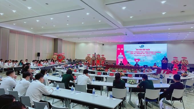 Toàn cảnh đại hội đại biểu Hội Thầy thuốc trẻ Bình Dương khóa III nhiệm kỳ 2022 - 2028