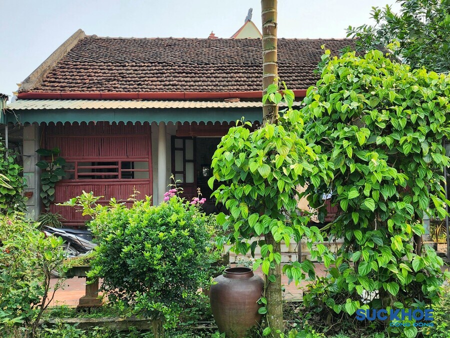 Căn nhà ấm cúng, giản dị của ông Cao Xuân Thọ tại xã Hoằng Giang, huyện Hoằng Hóa, Thanh Hóa