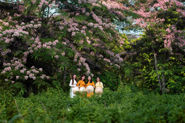 Quang cảnh xanh mát, thơ mộng của thiên nhiên tại Vườn Quốc gia Cát Tiên