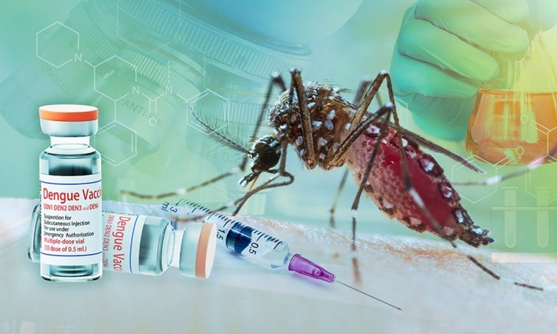 vietnam-to-test-japanese-dengue-vaccine-amid-a-sharp-rise-in-infections-1402-132809