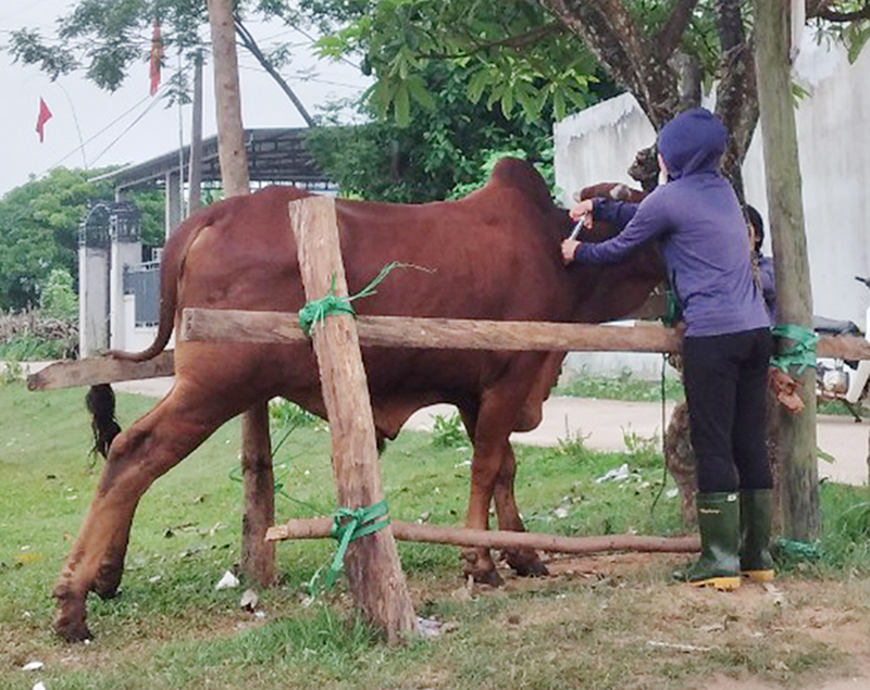 QUANGBINH