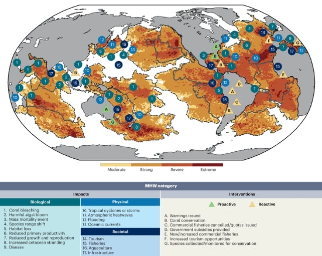 MarineHeatWaveEventsImpacts2023-2024
